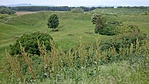 s1