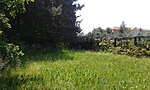 20160528_123928