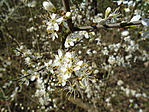 DSC01501