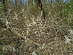 DSC01502