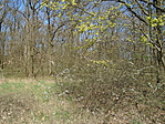 DSC01503