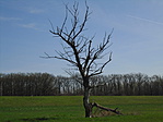DSC01515