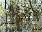 DSC01531
