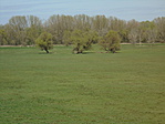DSC01551