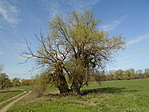 DSC01553