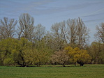 DSC01555