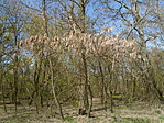 DSC01570
