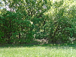 DSC01814