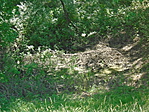 DSC01815