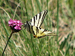 J10_9693