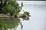 DSC_1003