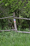 DSC_6205