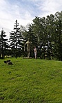 13336284_976527242454261_178384057_n