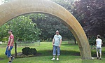 13310396_976458539127798_1496941819419581396_n