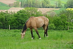 DSC02440