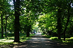 DSC02501