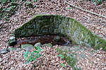 DSC02602