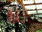 DSCF8671
