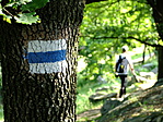 DSCF9033