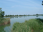 DSCF0002
