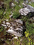 DSC00627