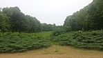20160515_152604