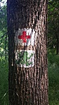 20160522_145339