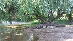 20160528_152118