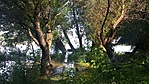 20160528_153942