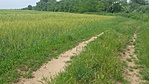 20160529_133233