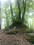 DSC01403