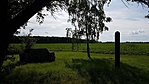 2016-06-03 16.37.08R