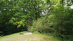 2016-06-04 11.43.22R