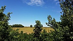 2016-06-18 11.35.22R