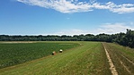 2016-06-18 13.25.18R