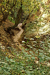 Vörös-árok (GCRote)_07