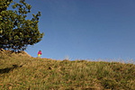 Vörös-árok (GCRote)_12