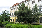 SAM_9198