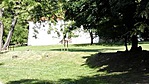 89. Csillagvár BALATONSZENTGYÖRGY (4)