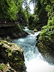 P1040494