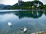 P1040506