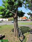 IMG_6390 (Large)