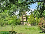 IMG_6391 (Large)