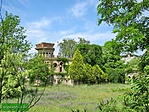 IMG_6393 (Large)