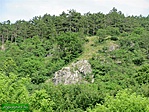 Közelebbről