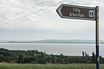 _DSC3386