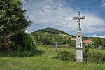 _DSC3461