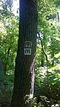 Útjelzések