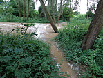 DSC00781