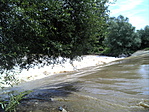 DSC00077